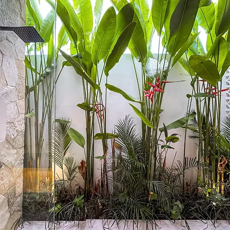 Casa Petak 2 - Serene Architectural Villa In Tropical Paradise Pererenan-2