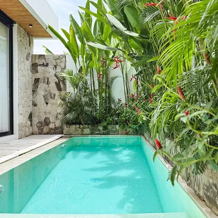Casa Petak 2 - Serene Architectural Villa In Tropical Paradise Pererenan-3